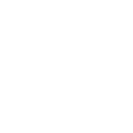 NBAM | Neesha Badhan Arts Management